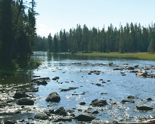 Scenic photograph of a river in the woods.